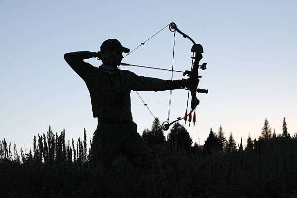 A young female archer with a compound bow