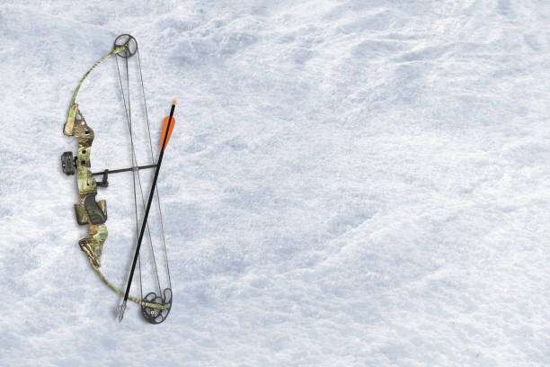 compound bow