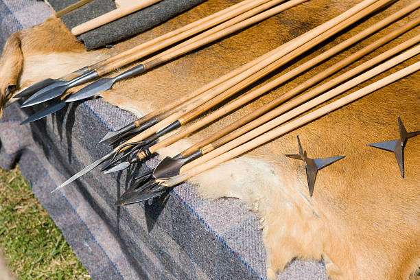 Collection of traditional arrows and spearheads displayed on animal hide, used with a compound bow.