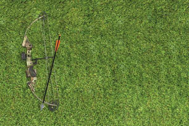 compound bow