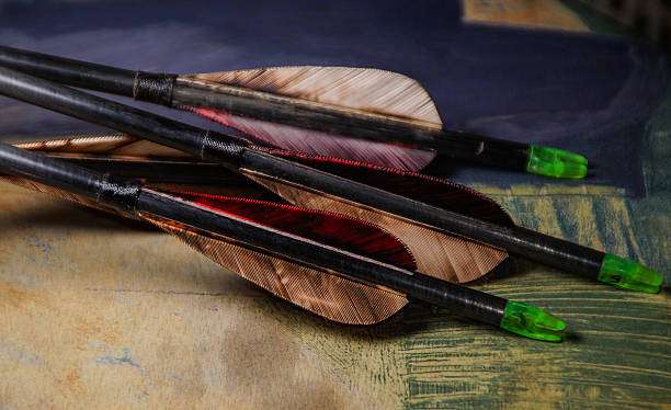 Close-up of modern carbon archery arrows with colorful fletching, ready for a compound bow.