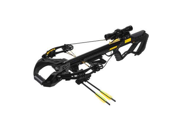 compound bow