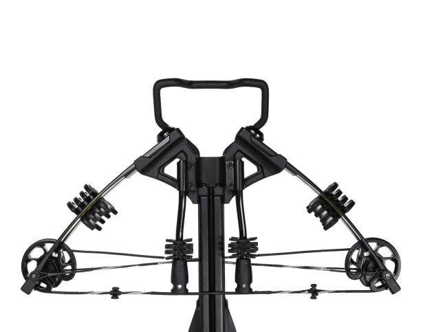 Image showing compound bow 4